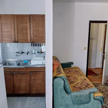 Apartment Kursumlijska Banja- Savic