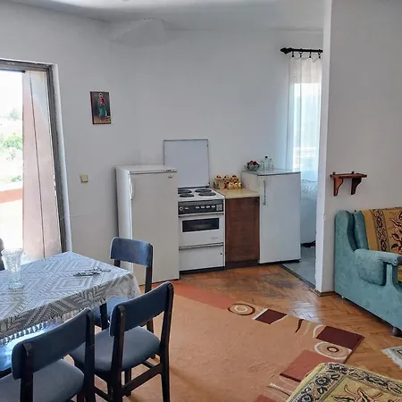 Kursumlijska Banja- Savic Apartment *